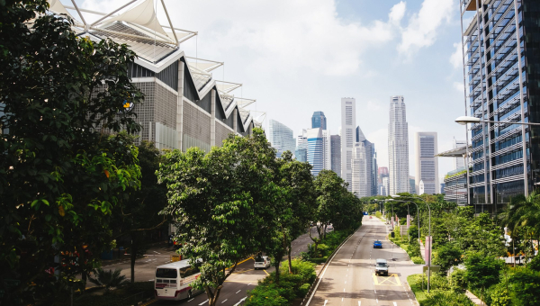 The Role of Green Infrastructure in the Cities