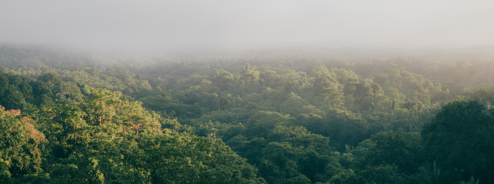 Happy Bernard Maulidi