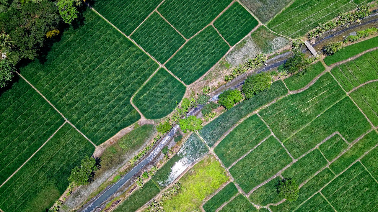 The Role of Sustainable Agriculture in National Climate Resilience