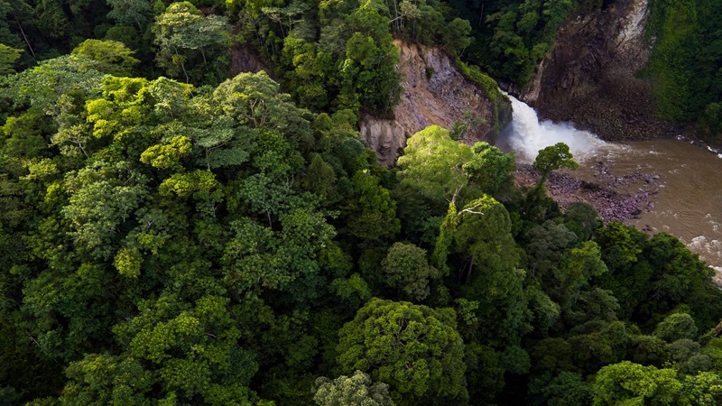 Transcending Conventions: Mobilizing Financial Resources to Propel Climate Change Adaptation and Mitigation in the Leuser Ecosystem