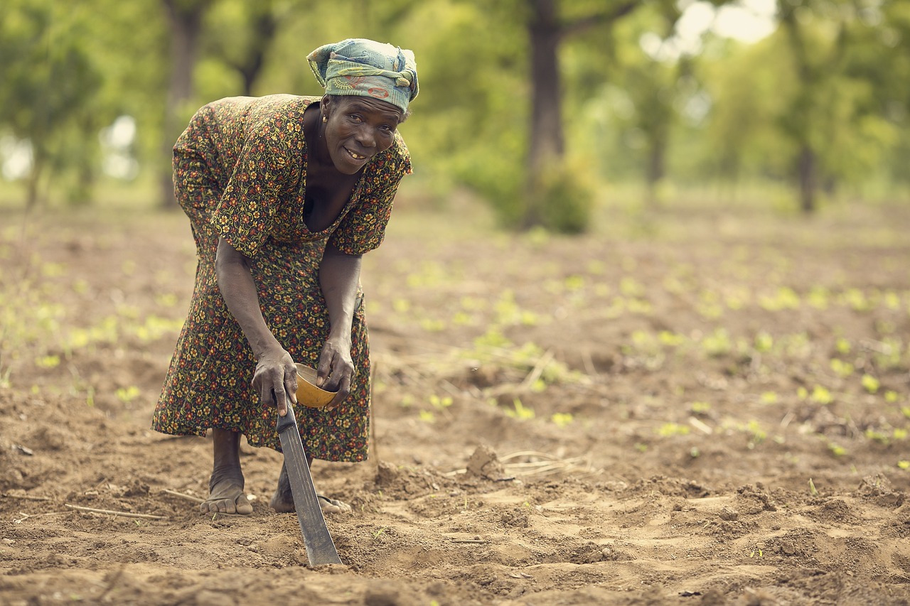 From Waste to Wealth: Circular Agriculture as Malawi’s sustainable adaptation strategy to rising fertilizer prices 