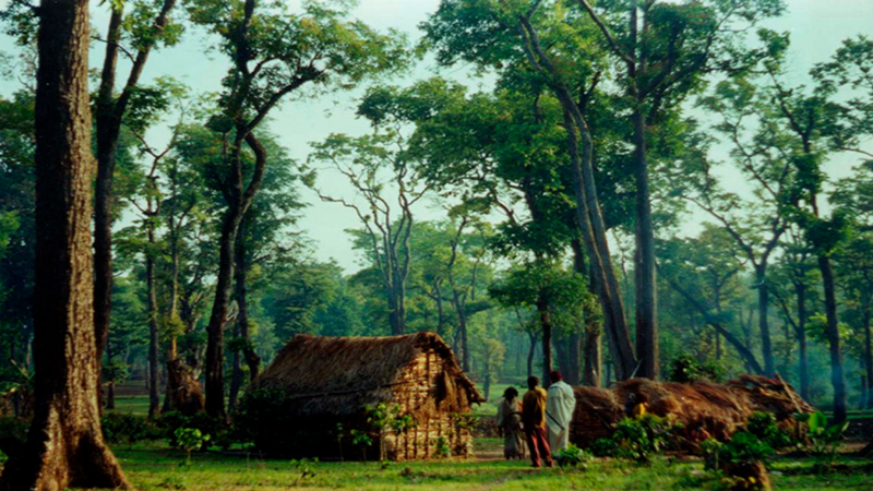 Echoes of the Indian Adivasis and wildlife