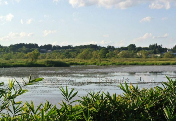 Rebuilding Terrestrial And Aquatic Environments In Africa.