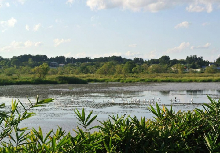 Rebuilding Terrestrial And Aquatic Environments In Africa.