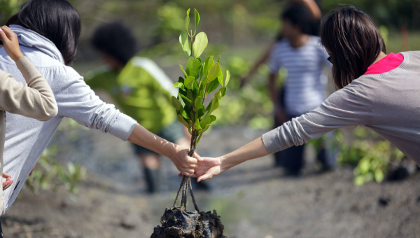 Carbon Markets: To tackle South Asian Climate Crises.