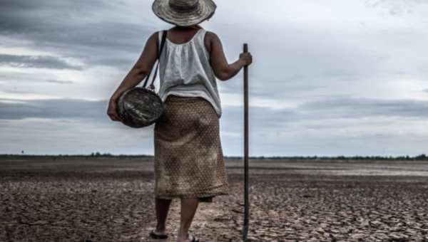 Gendered Impacts of Climate Change: Amplifying Vulnerabilities and Necessitating Action