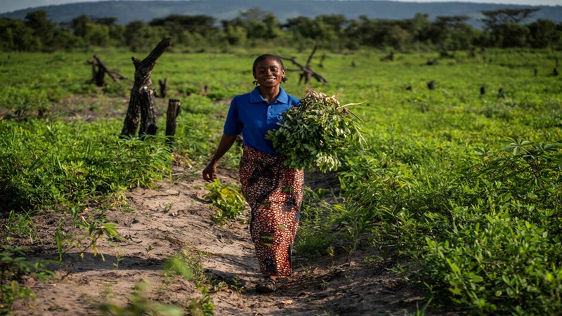 Feeding the Future: Cultivating Resilience and Food Security in Congo