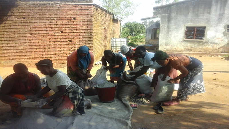 From Waste to Wealth: Circular Agriculture as Malawi’s sustainable adaptation strategy to rising fertilizer prices 